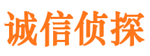 宣恩找人公司